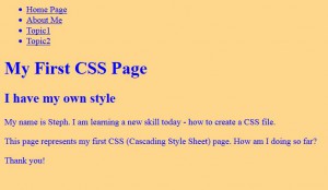 browser view of CSS file