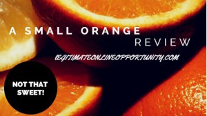 A small orange review - not that sweet